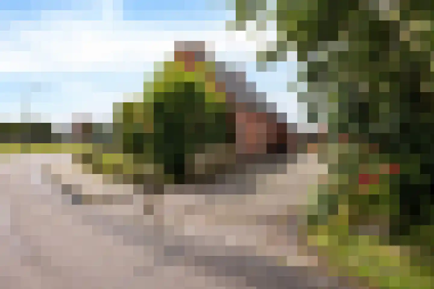 Talmaweg 35 Uithuizen thumbnail 9