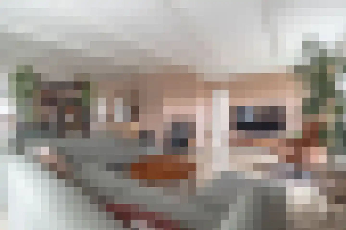 Talmaweg 69 Uithuizen thumbnail 15