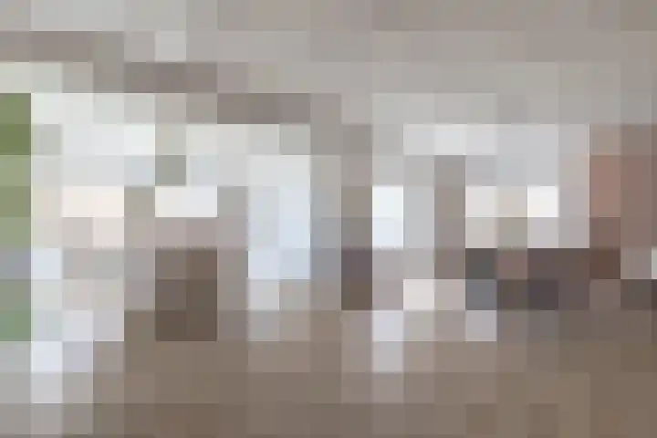 Talmaweg 69 Uithuizen thumbnail 18