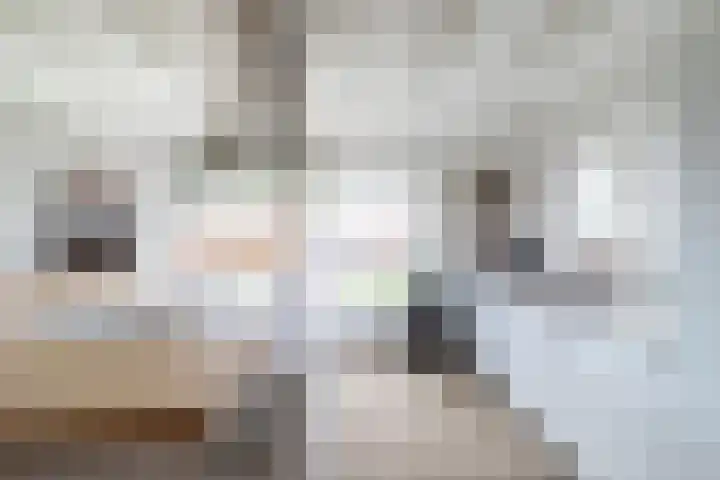 Talmaweg 69 Uithuizen thumbnail 21