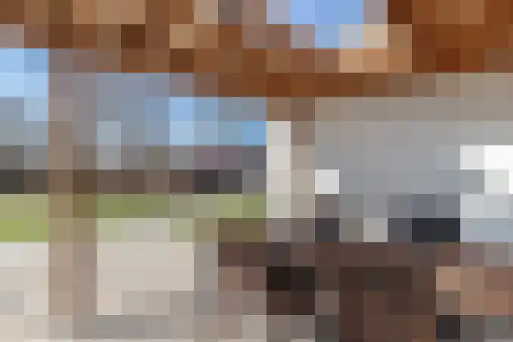 Talmaweg 69 Uithuizen thumbnail 26
