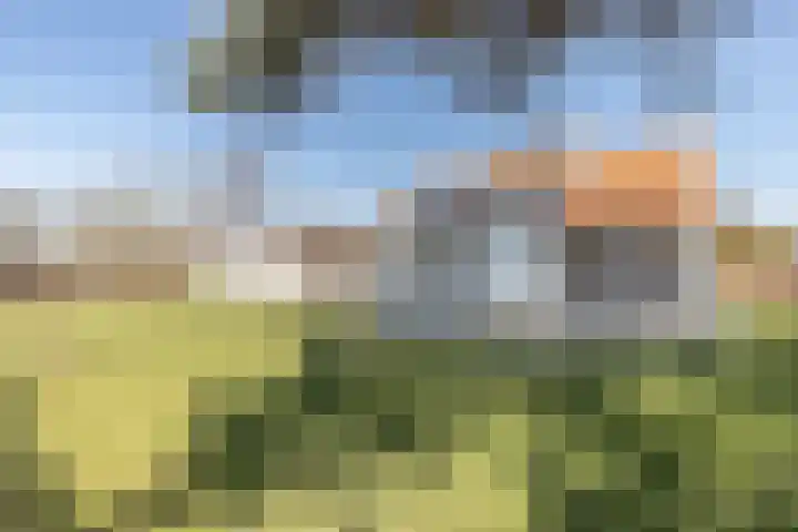 Talmaweg 69 Uithuizen thumbnail 27