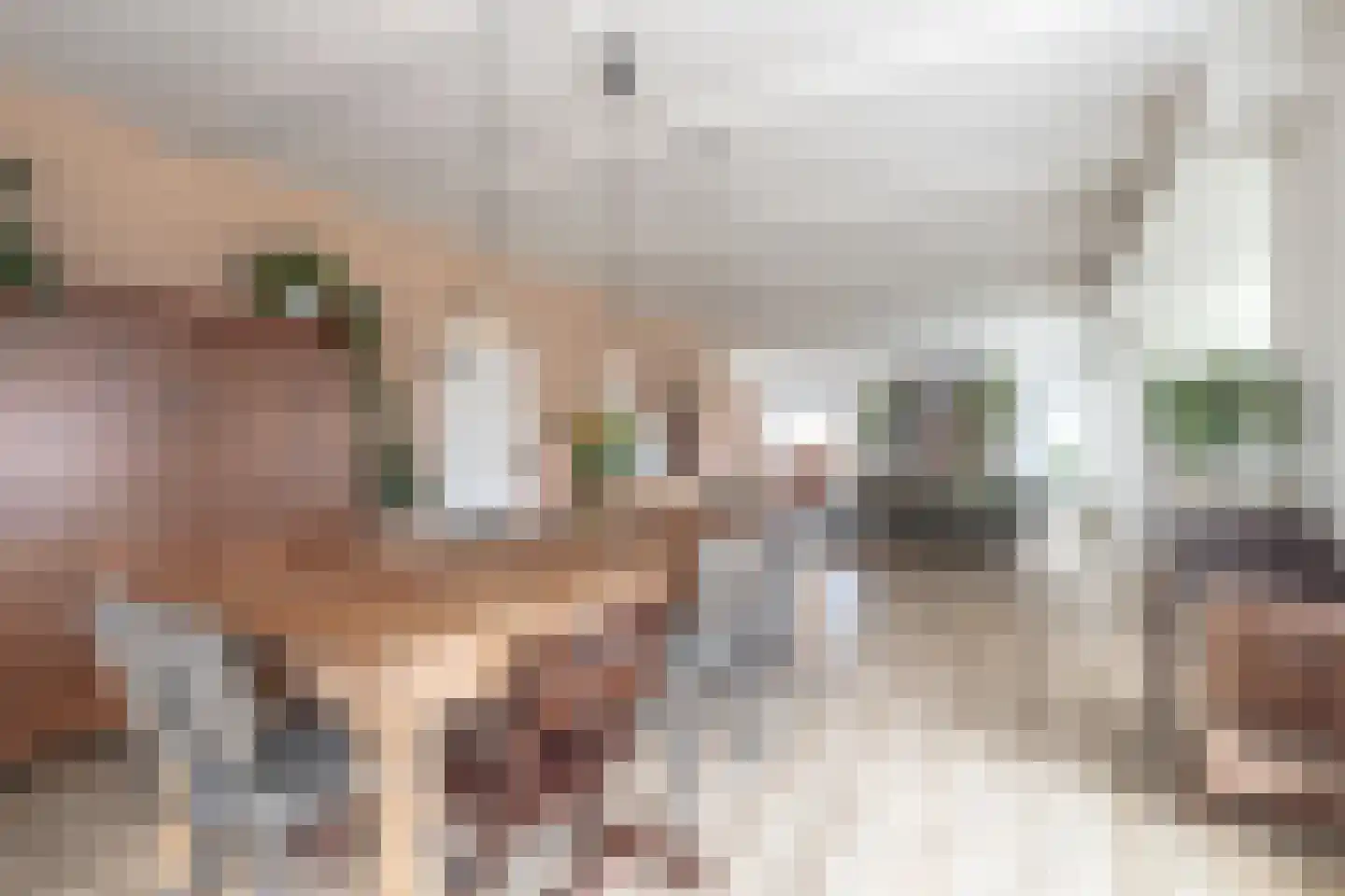 Talmaweg 69 Uithuizen thumbnail 31