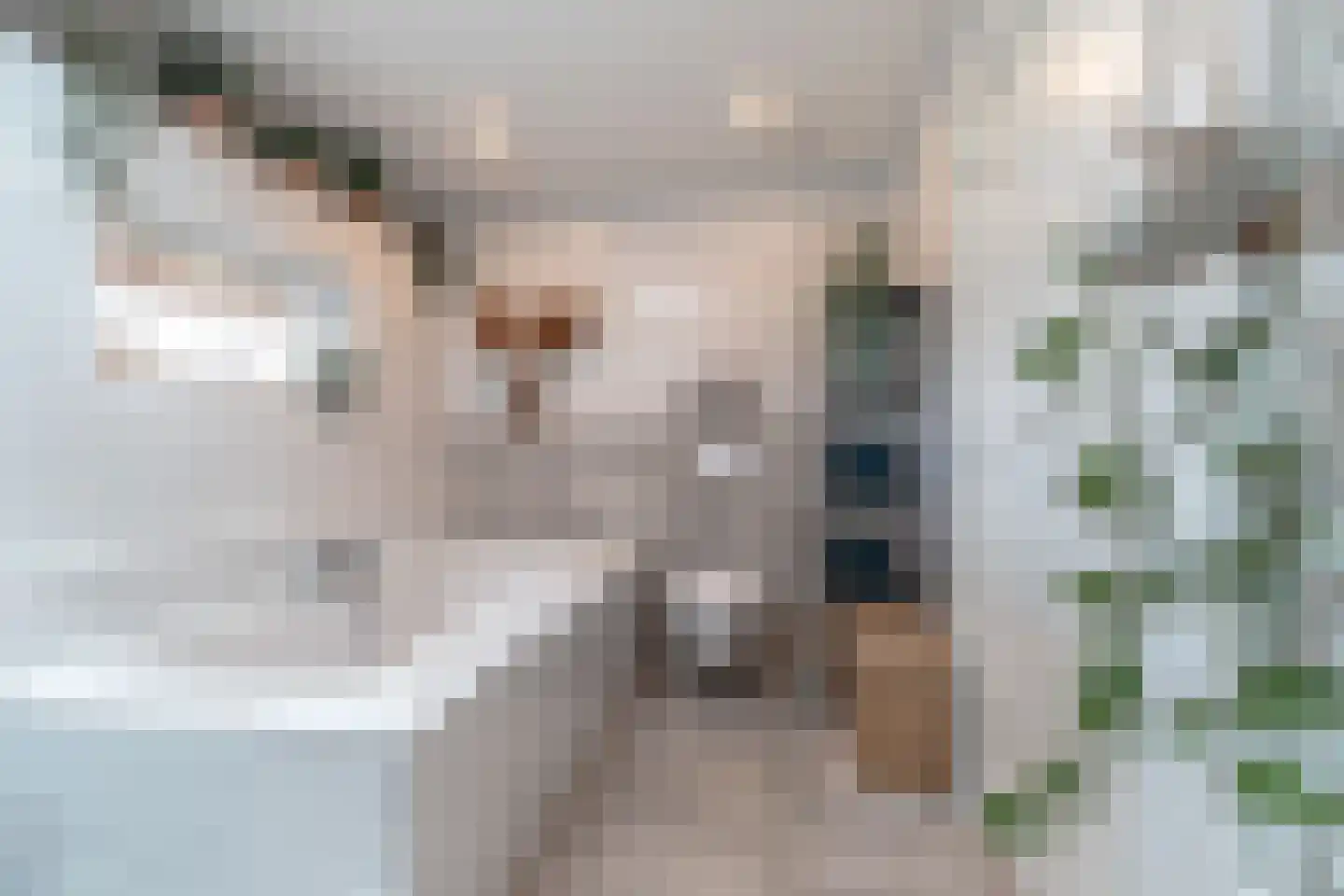 Talmaweg 69 Uithuizen thumbnail 38