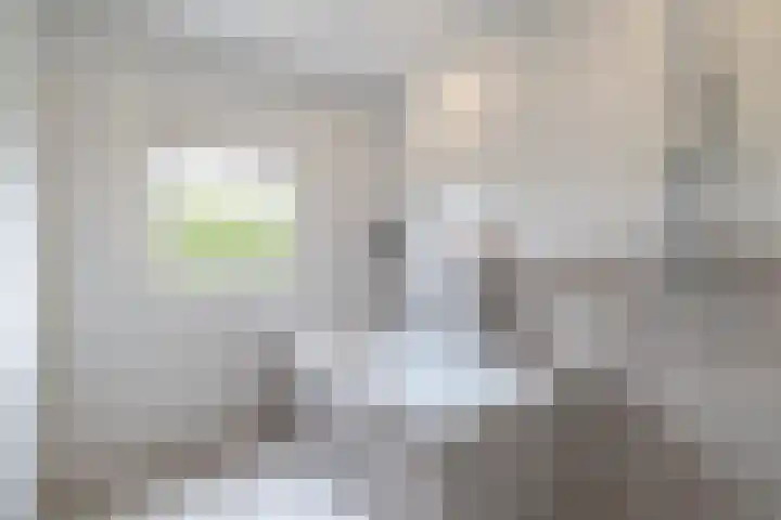 Talmaweg 69 Uithuizen thumbnail 44