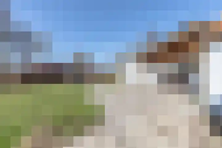 Talmaweg 69 Uithuizen thumbnail 69