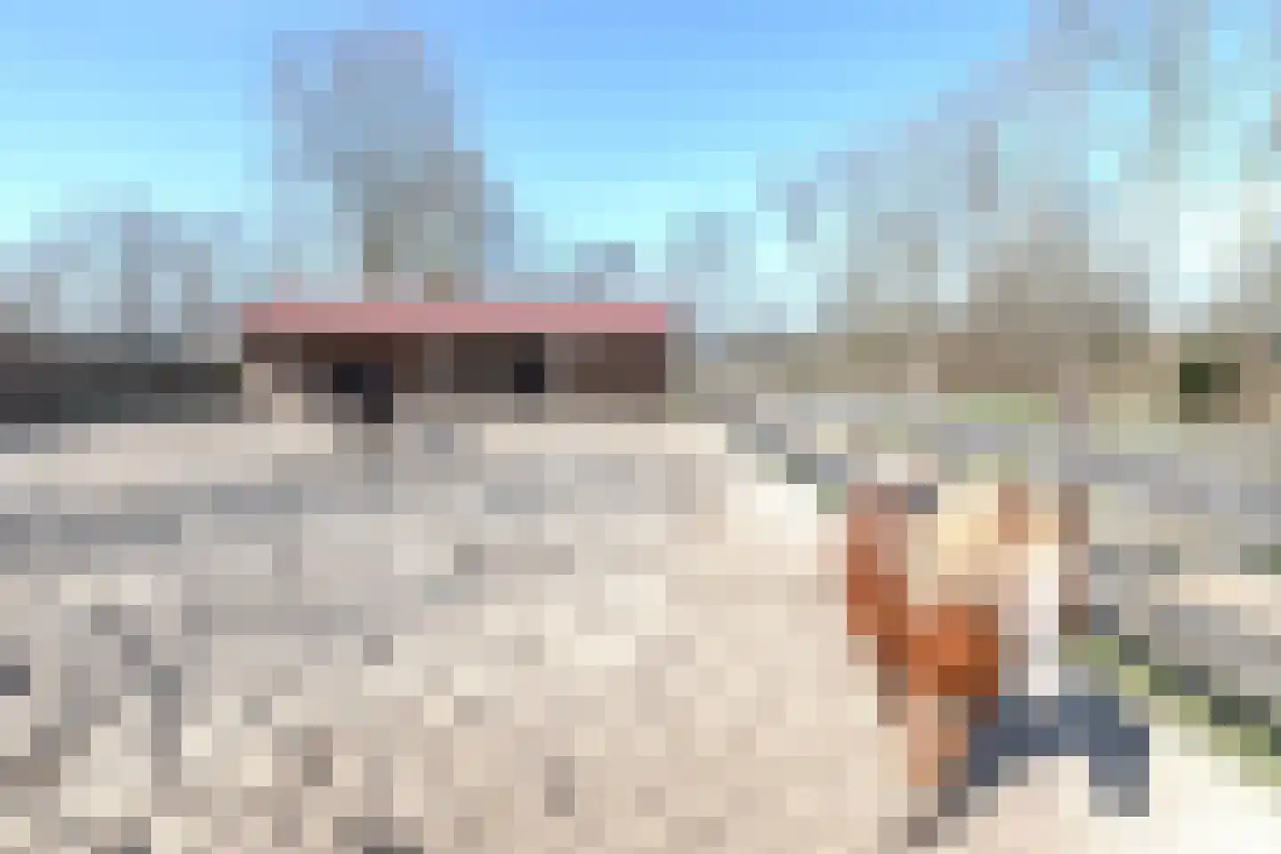 Talmaweg 69 Uithuizen thumbnail 7