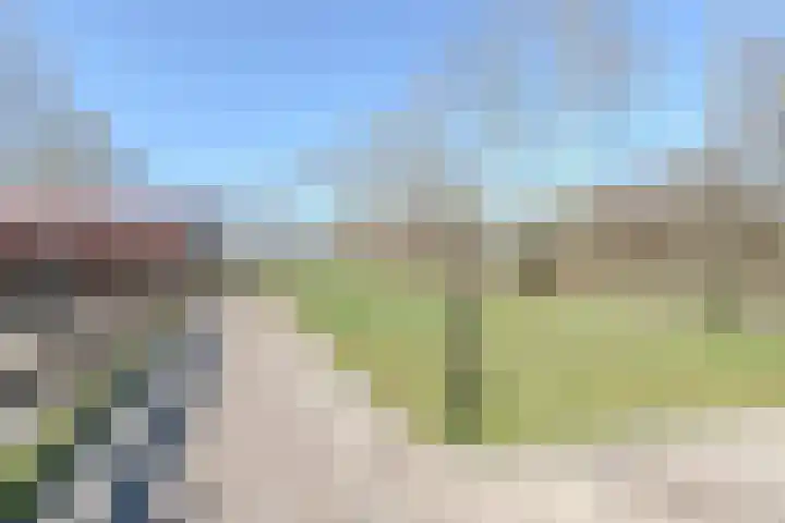Talmaweg 69 Uithuizen thumbnail 8