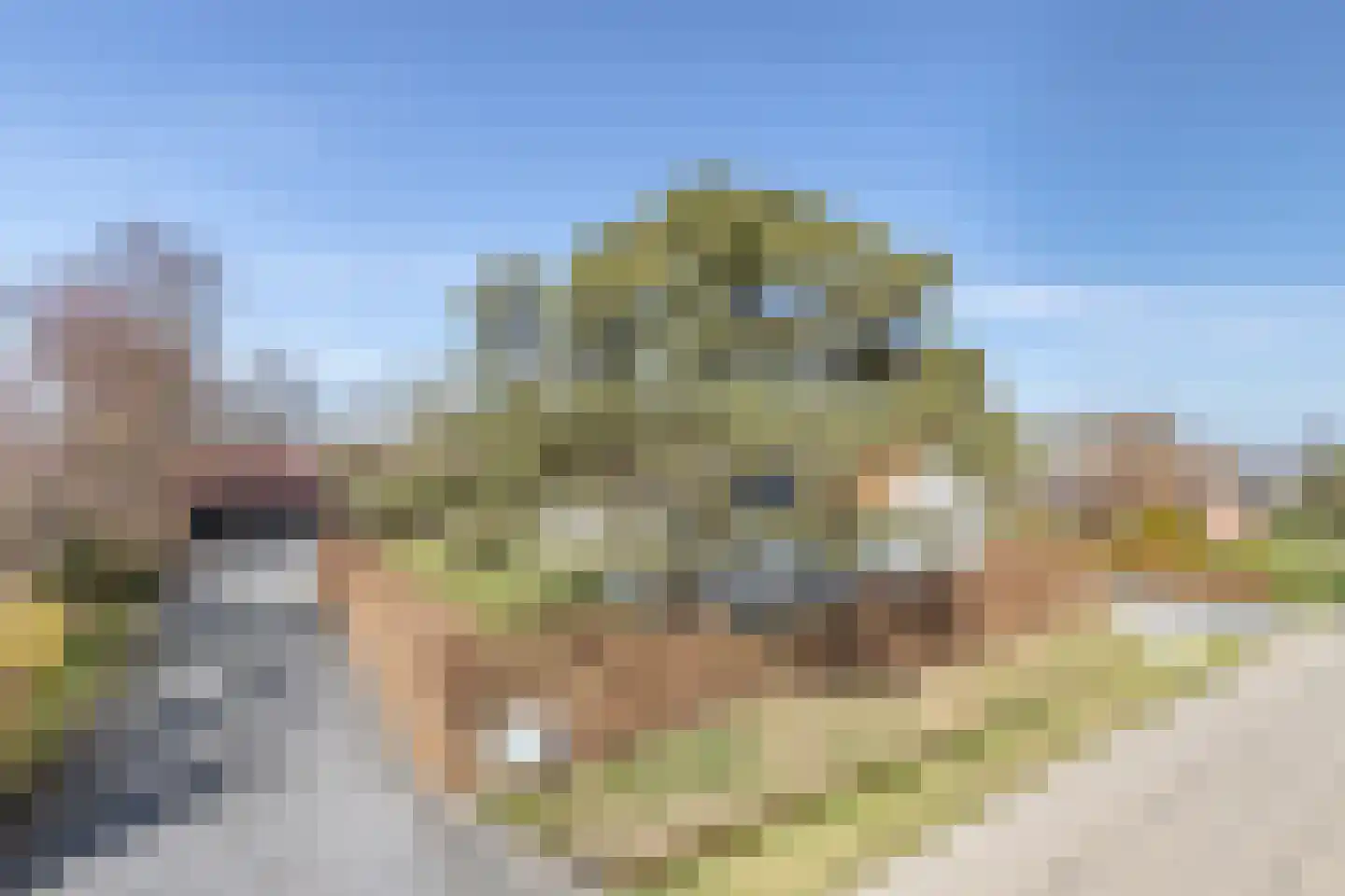 Talmaweg 69 Uithuizen thumbnail 81