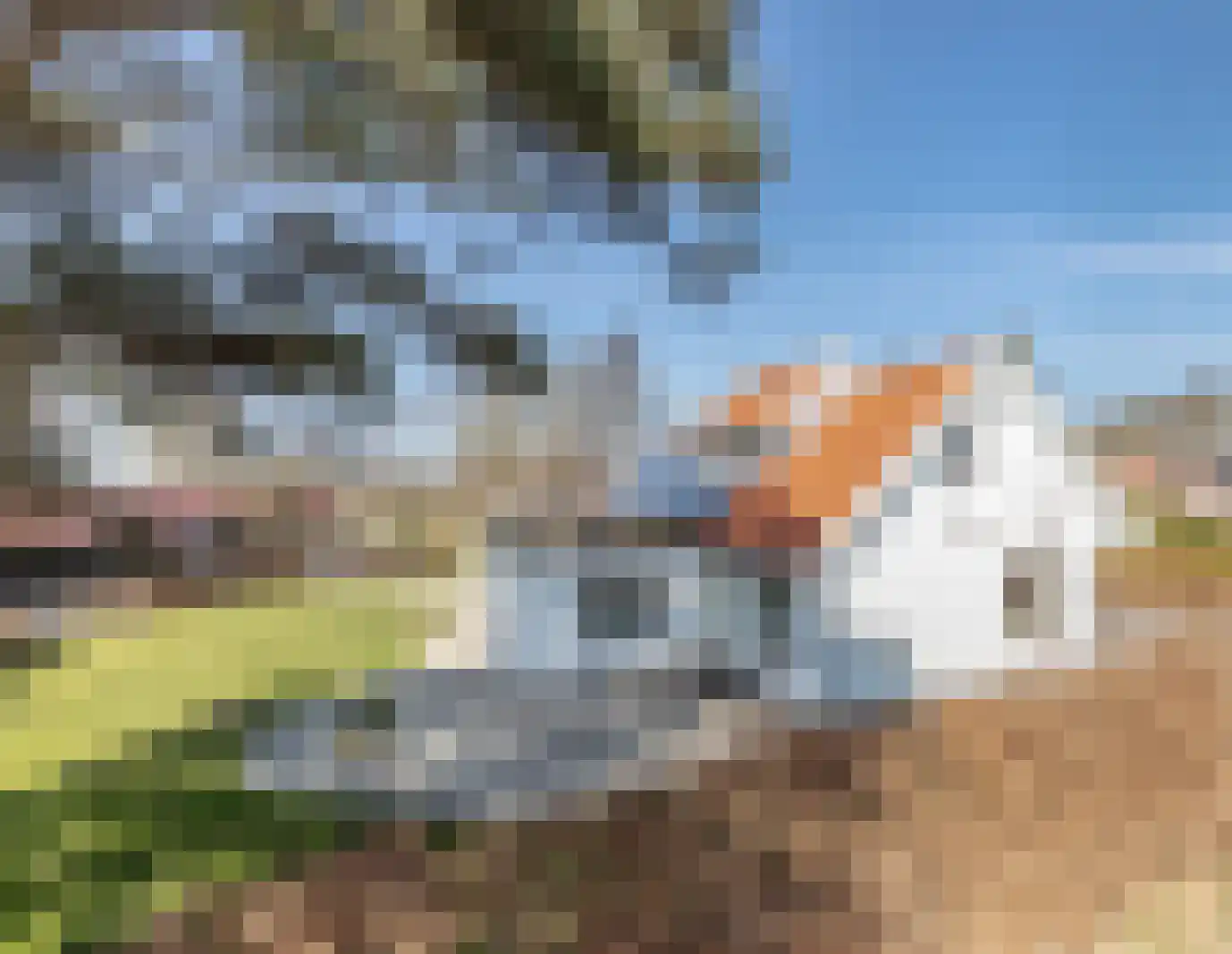 Talmaweg 69 Uithuizen thumbnail 82