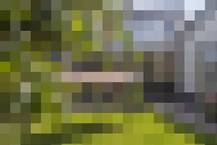 Talmaweg 8 Barendrecht thumbnail 30