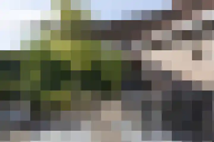 Talmaweg 8 Barendrecht thumbnail 34