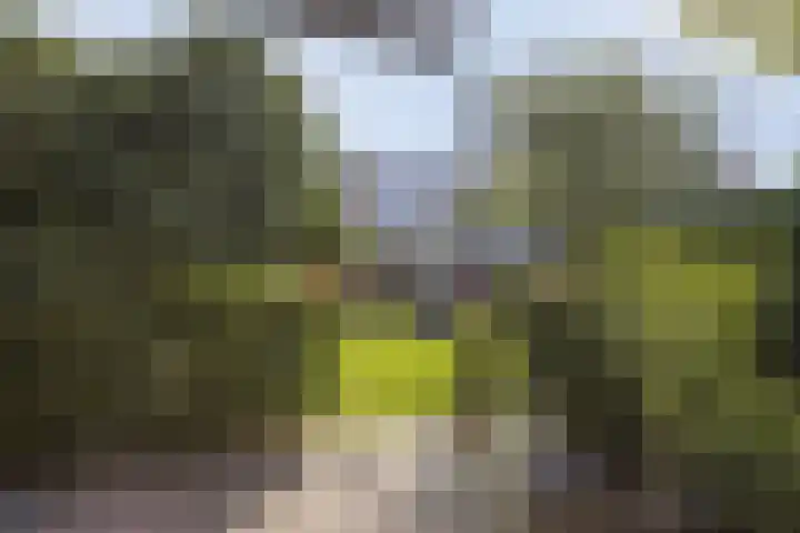 Talmaweg 8 Barendrecht thumbnail 35