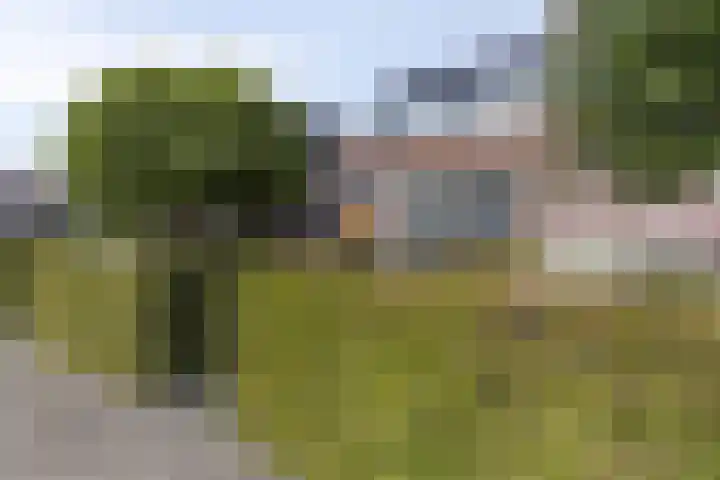 Talmaweg 8 Barendrecht thumbnail 37