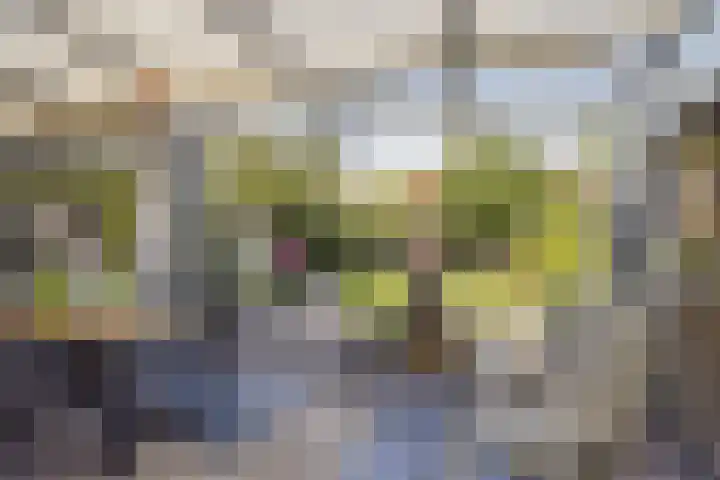 Talmaweg 8 Barendrecht thumbnail 4