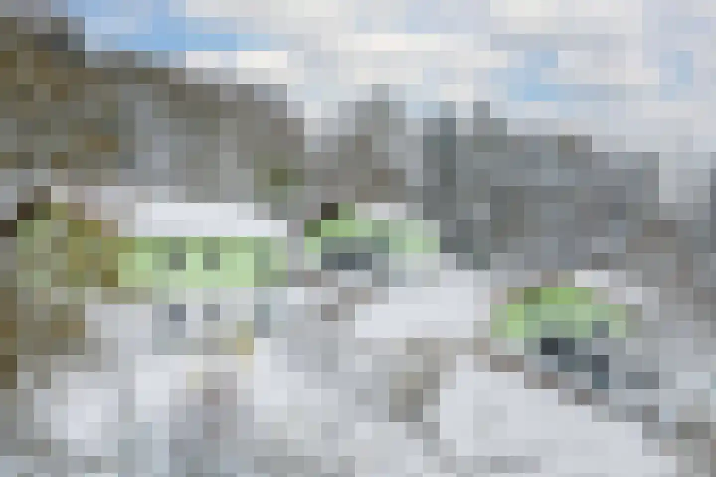Talstraße 27, 37441 Bad Sachsa, Duitsland 97 Bad Nieuweschans thumbnail 14