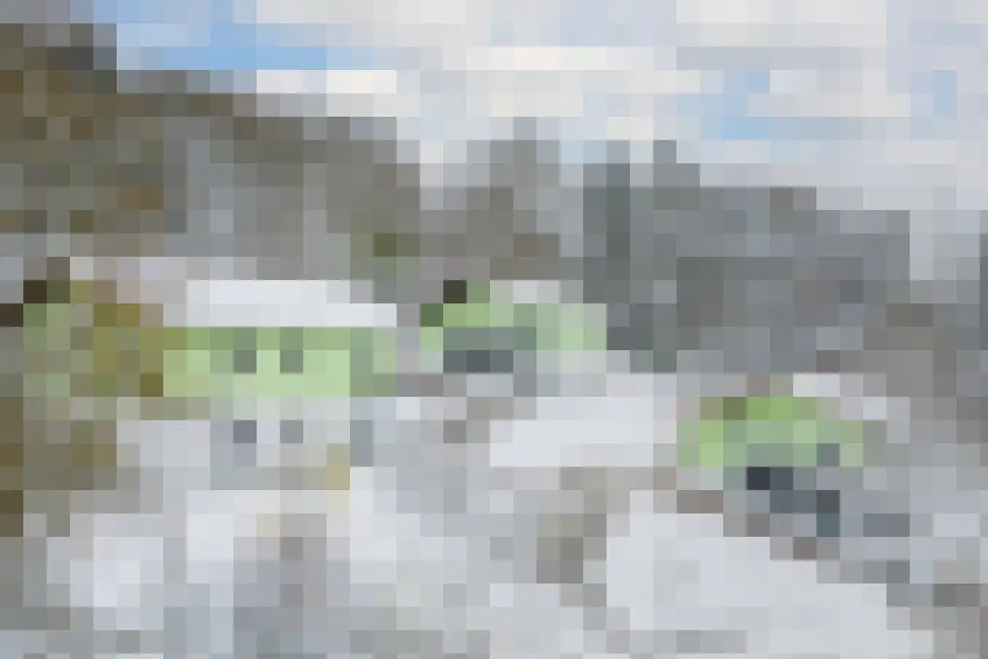 Talstraße 27, 37441 Bad Sachsa, Duitsland 97 Bad Nieuweschans thumbnail 14