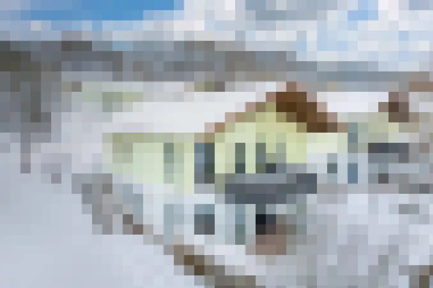 Talstraße 27, 37441 Bad Sachsa, Duitsland 97 Bad Nieuweschans thumbnail 16