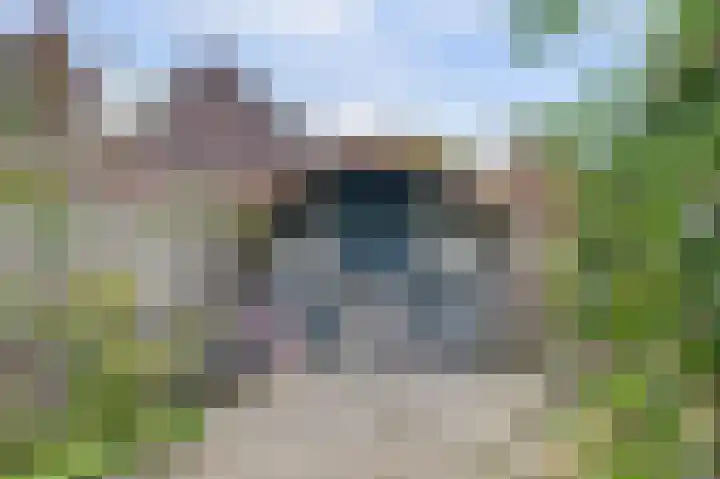 Talud 15 Gorinchem thumbnail 30