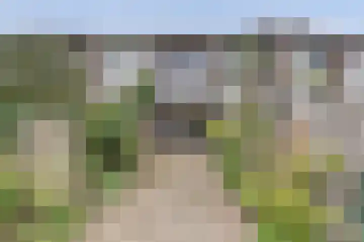 Talud 15 Gorinchem thumbnail 4