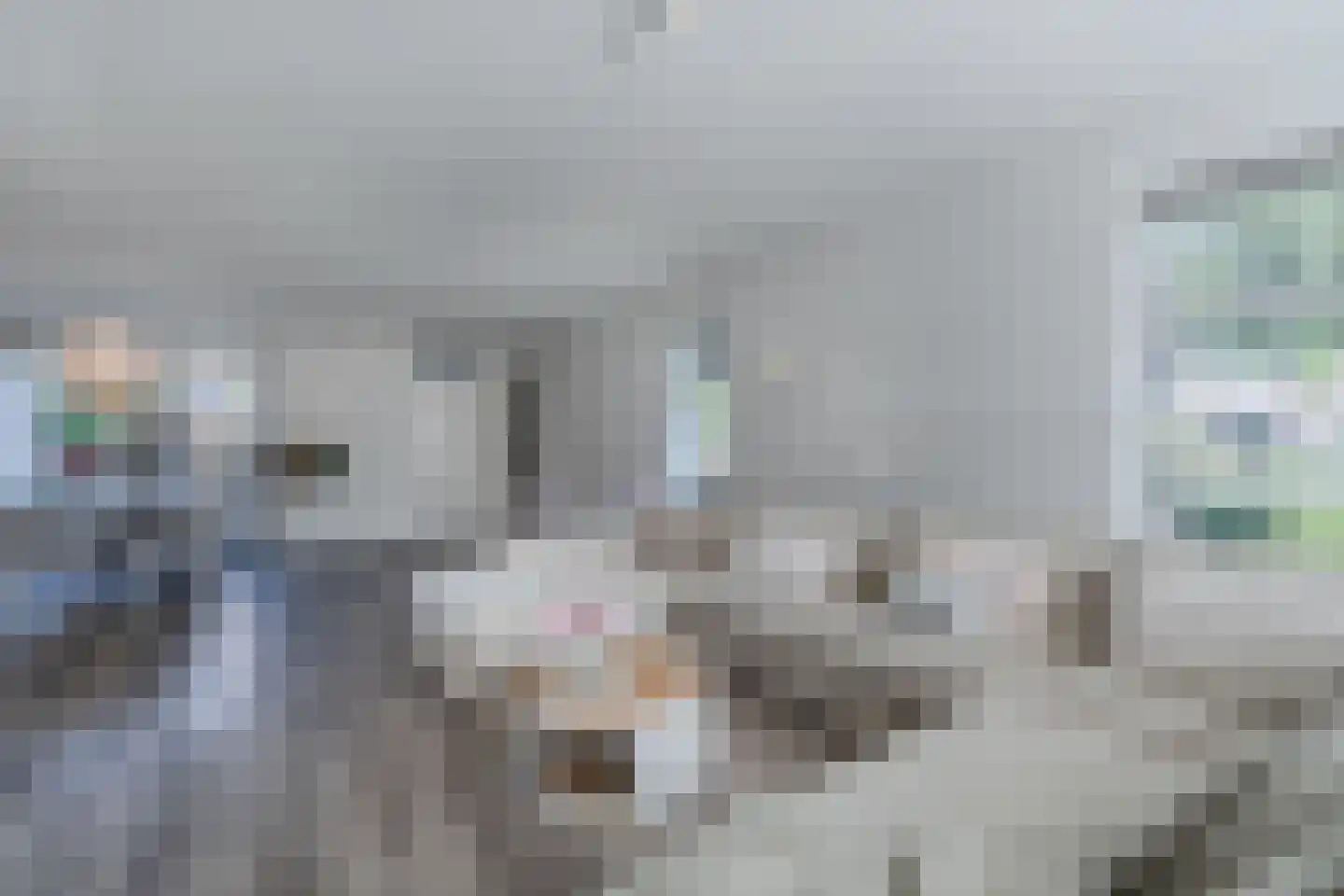 Talúd 23 Balk thumbnail 18