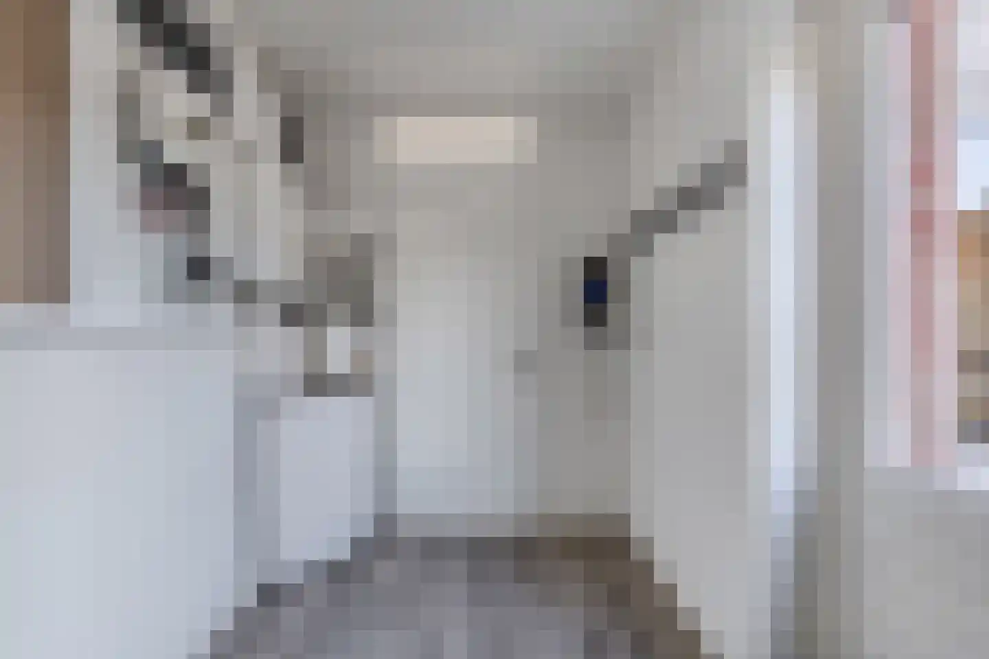 Talúd 23 Balk thumbnail 33