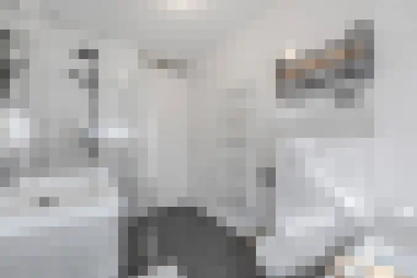 Talúd 23 Balk thumbnail 44
