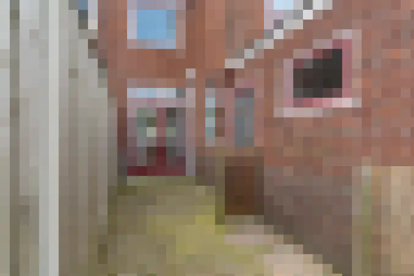Taludstraat 6 Enschede thumbnail 38