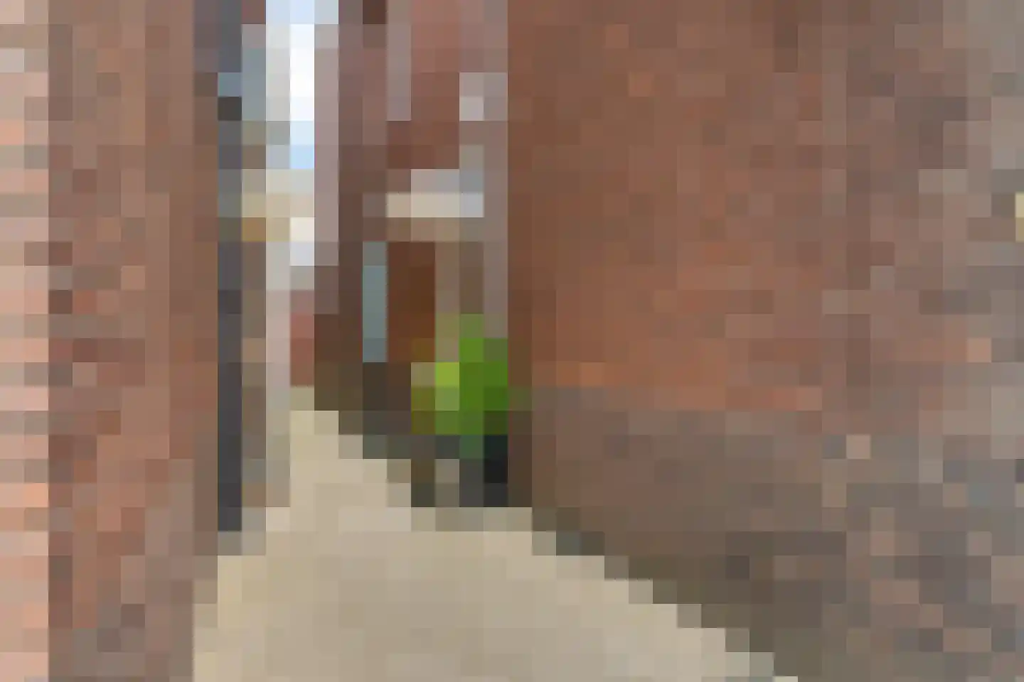 Taludstraat 6 Enschede thumbnail 6