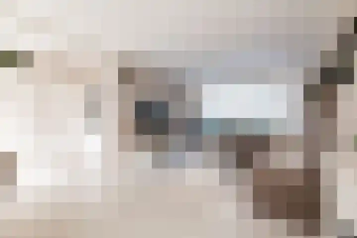 Taludstraat 7 Abbenbroek thumbnail 12