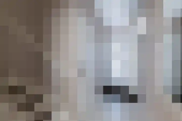 Taludstraat 7 Abbenbroek thumbnail 17