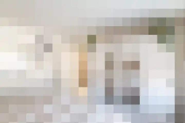 Taludstraat 7 Abbenbroek thumbnail 19