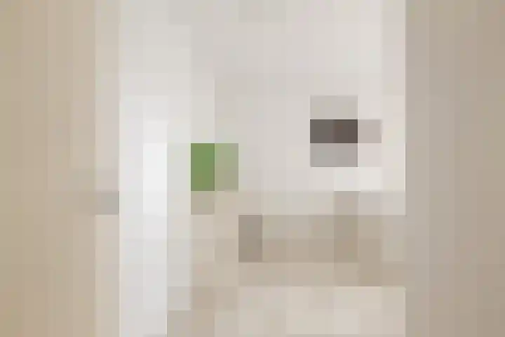 Taludstraat 7 Abbenbroek thumbnail 22