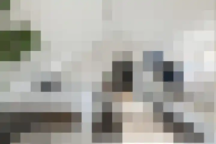 Taludstraat 7 Abbenbroek thumbnail 33
