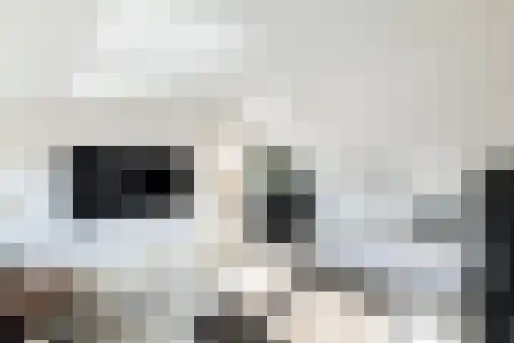 Taludstraat 7 Abbenbroek thumbnail 35
