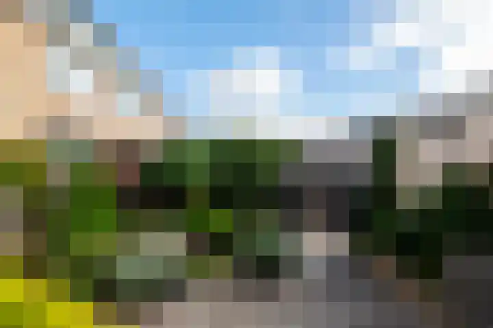 Taludstraat 7 Abbenbroek thumbnail 37