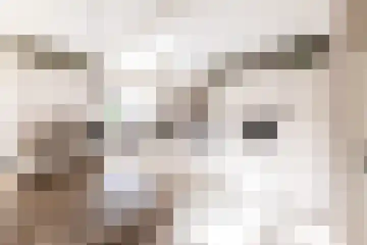 Taludstraat 7 Abbenbroek thumbnail 9