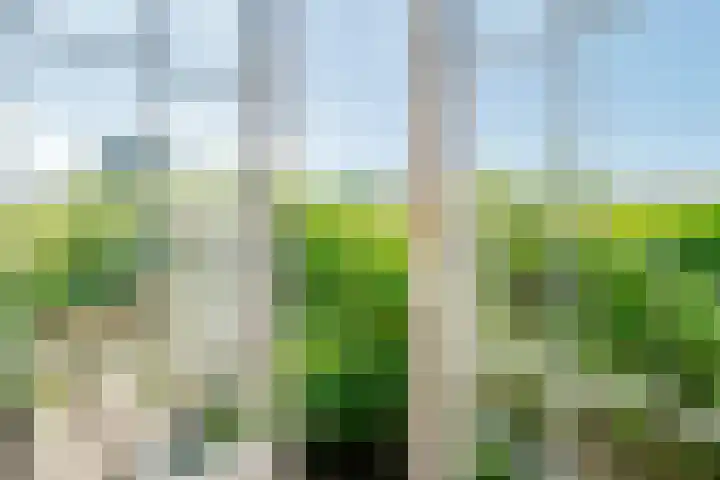Taludweg 105 Hilversum thumbnail 20