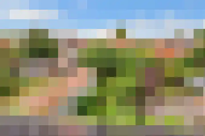 Taludweg 105 Hilversum thumbnail 31
