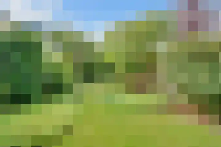 Taludweg 105 Hilversum thumbnail 35