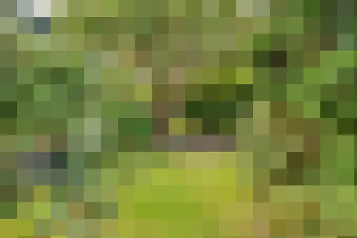 Taludweg 105 Hilversum thumbnail 36