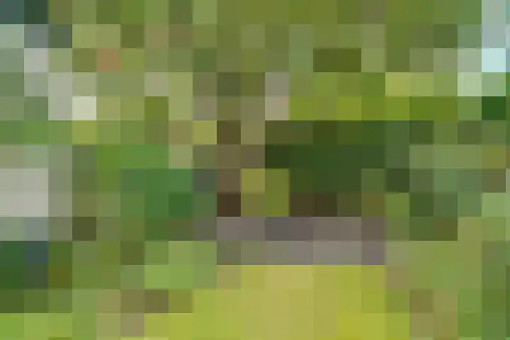 Taludweg 105 Hilversum thumbnail 37