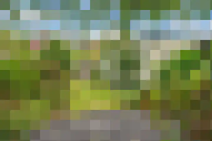 Taludweg 105 Hilversum thumbnail 38