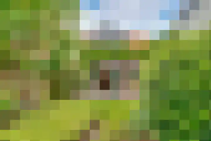 Taludweg 105 Hilversum thumbnail 41