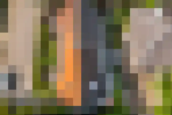 Taludweg 14 Oosterbeek thumbnail 31