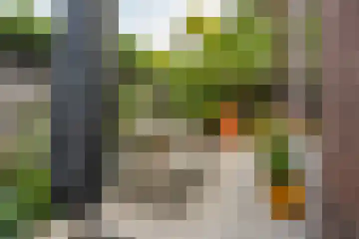 Taludweg 14 Oosterbeek thumbnail 6