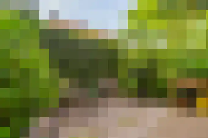 Taludweg 14 Oosterbeek thumbnail 7