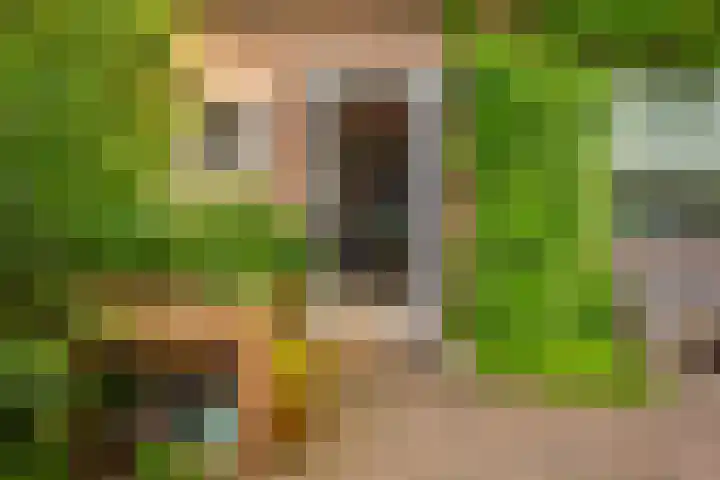 Taludweg 14 Oosterbeek thumbnail 8