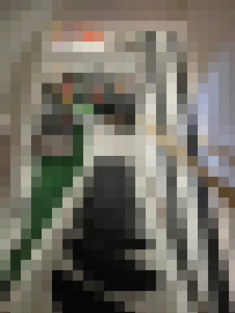 Taludweg 17 Oosterbeek thumbnail 15