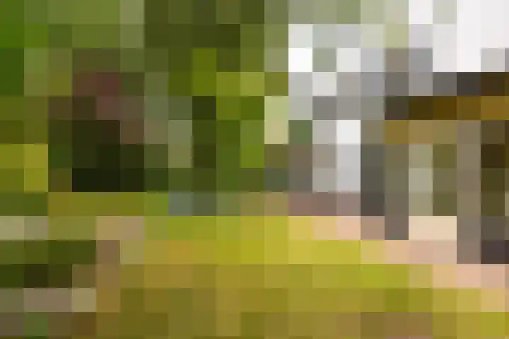 Taludweg 41 Hilversum thumbnail 12